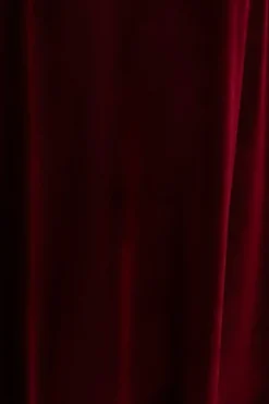 Baltic Born fabric swatches|Fabric Swatch - Tatiana Velvet | Merlot