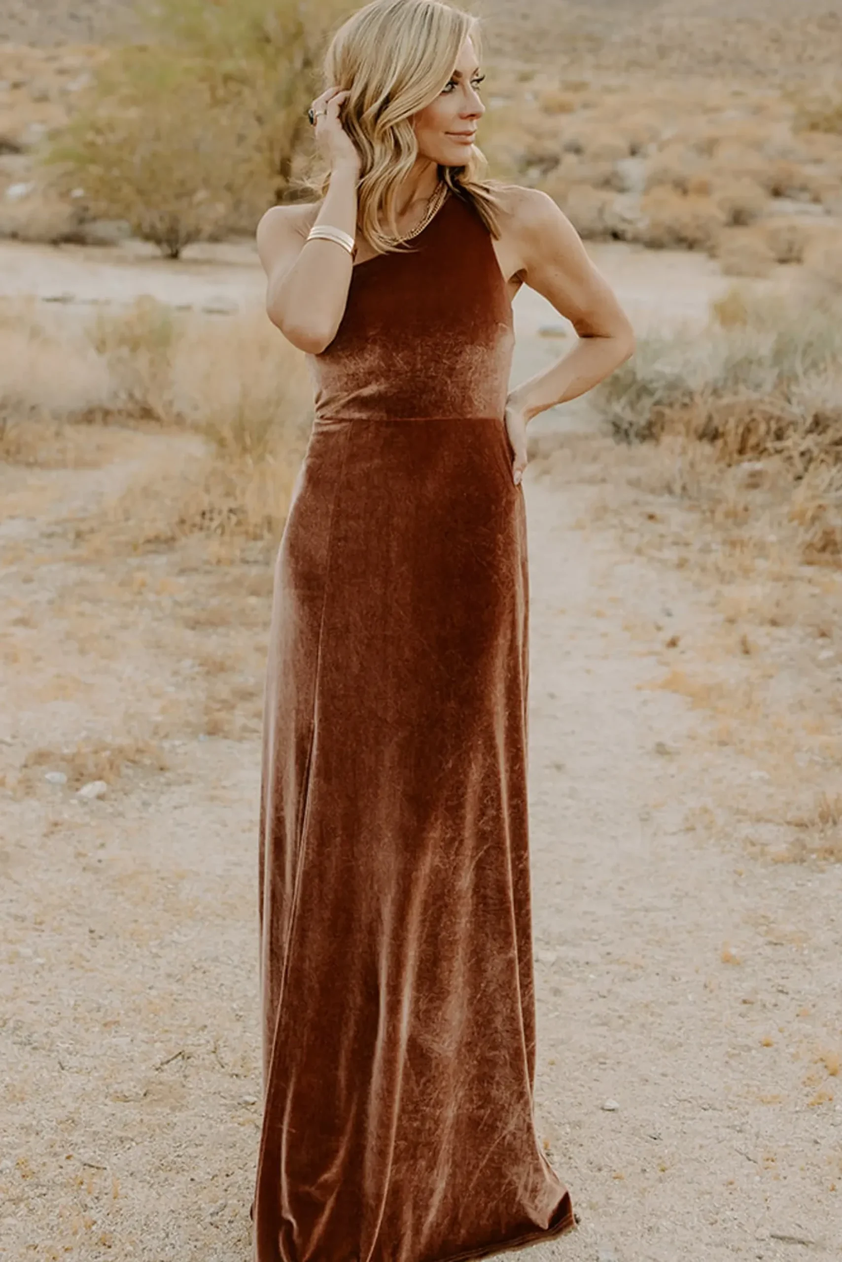 Baltic Born WEDDING SUITE|wedding guest|Tatiana Velvet One Shoulder Maxi Dress | Bronze